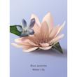  میست مو و بدن blue jasmine water lily 