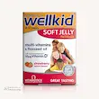 ولکید پاستیلی ویتابیوتیکس Vitabiotics Wellkid Soft Jelly Pastilles