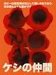 Paper Poppies Print