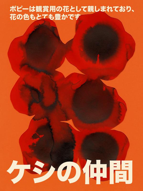 Paper Poppies Print