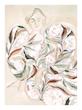 Flower Dress Print
