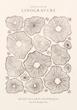 Linocut Exhibition Print