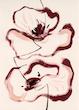 Floral Lines Print