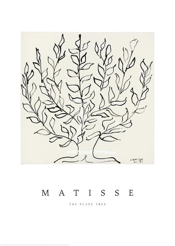 Matisse - The Plane Tree Print