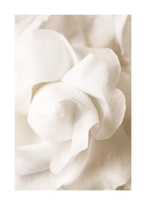 تابلو Rose Flower Bud
