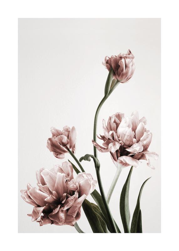 تابلو Pink Tulipe No3 در دکوراسیون مدرن