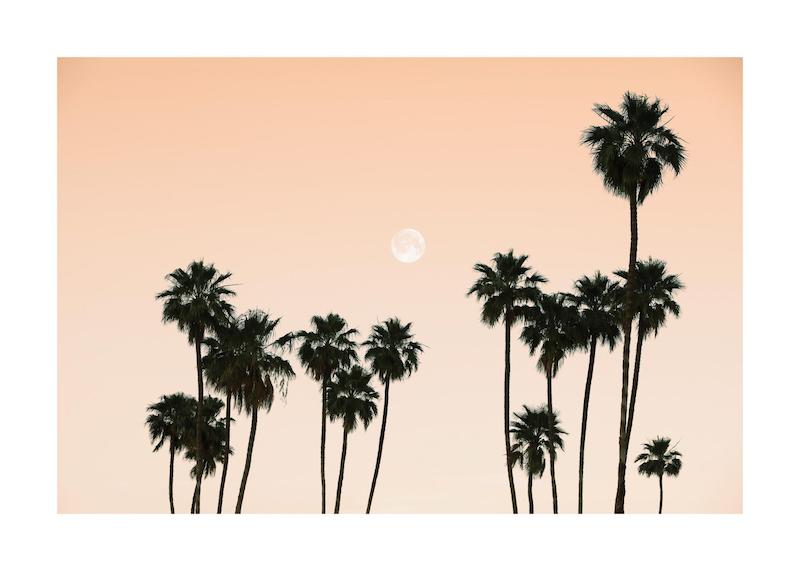 تابلو Palms in the Sky در دکوراسیون مدرن