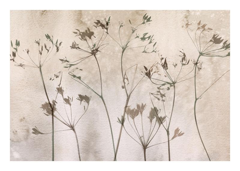 تابلو Dried Flowers Art No1 در دکوراسیون مدرن