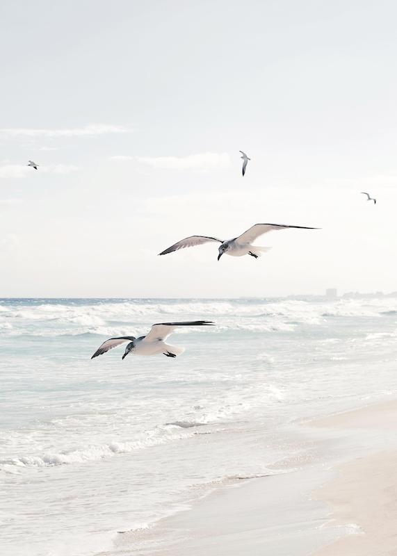 تابلو Seagulls over the Ocean در دکوراسیون مدرن