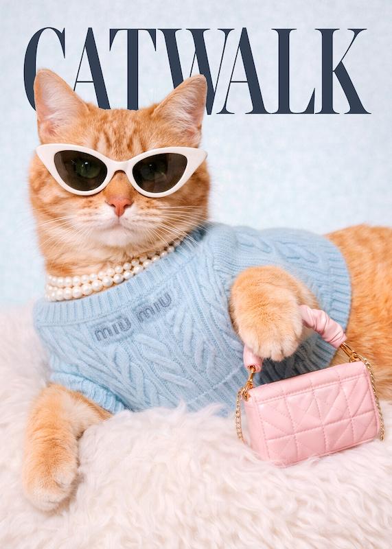 تابلو Catwalk No1 در دکوراسیون مدرن