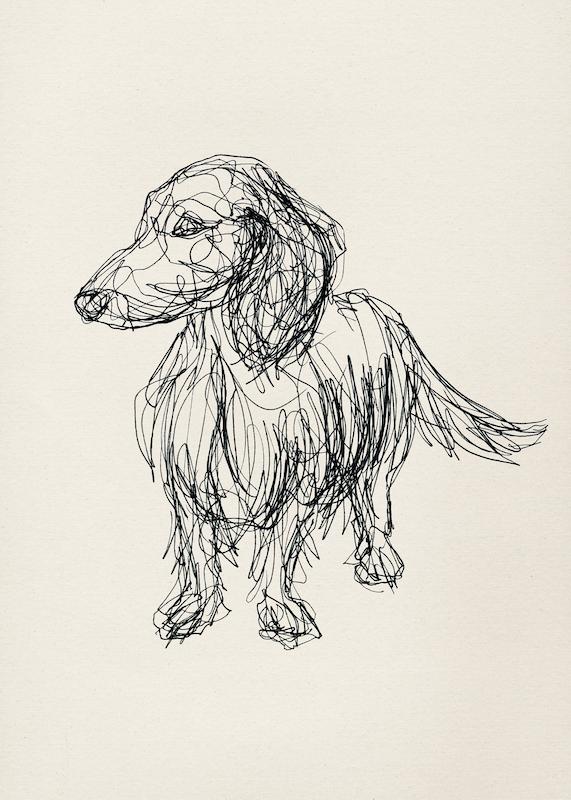 تابلو Sketchbook Dog در دکوراسیون مدرن