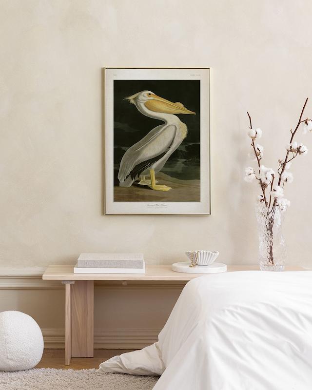 تابلو American White Pelican