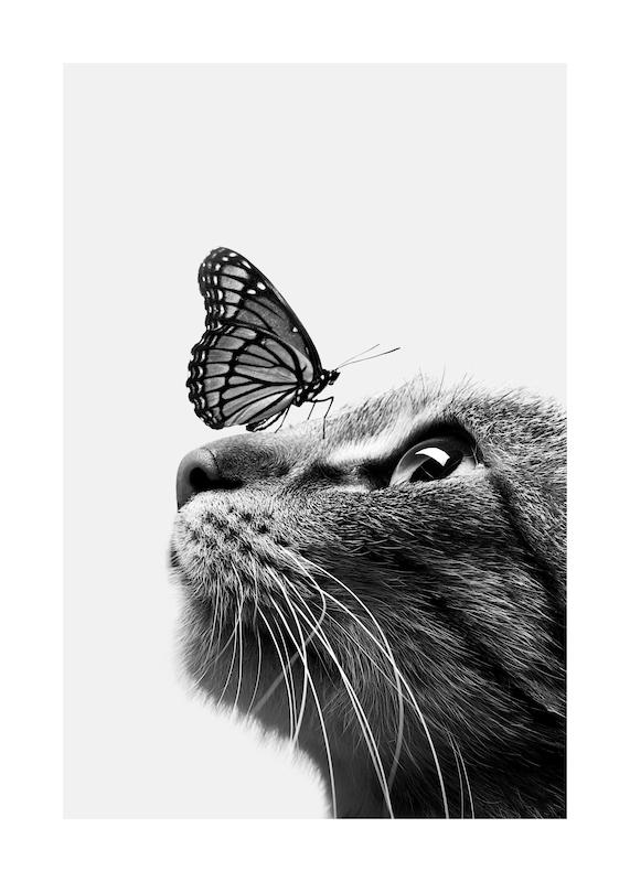 تابلو Butterfly Cat در دکوراسیون مدرن
