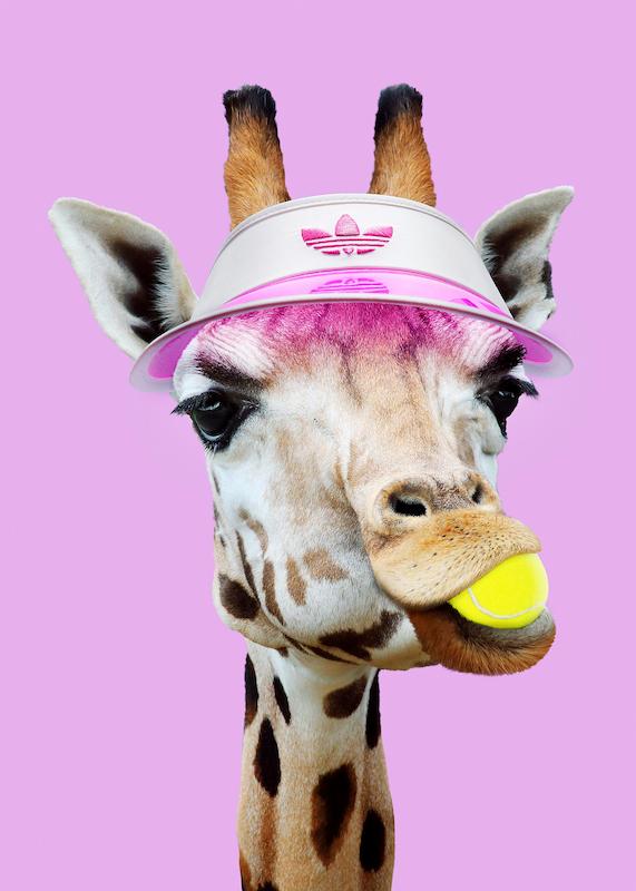 تابلو Jonas Loose - Tennis Giraffe در دکوراسیون مدرن