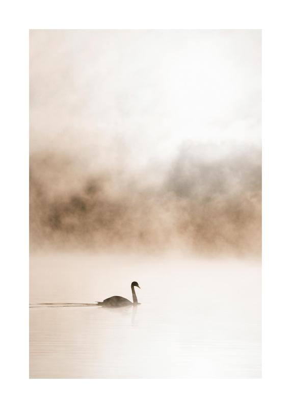 تابلو Gliding Swan