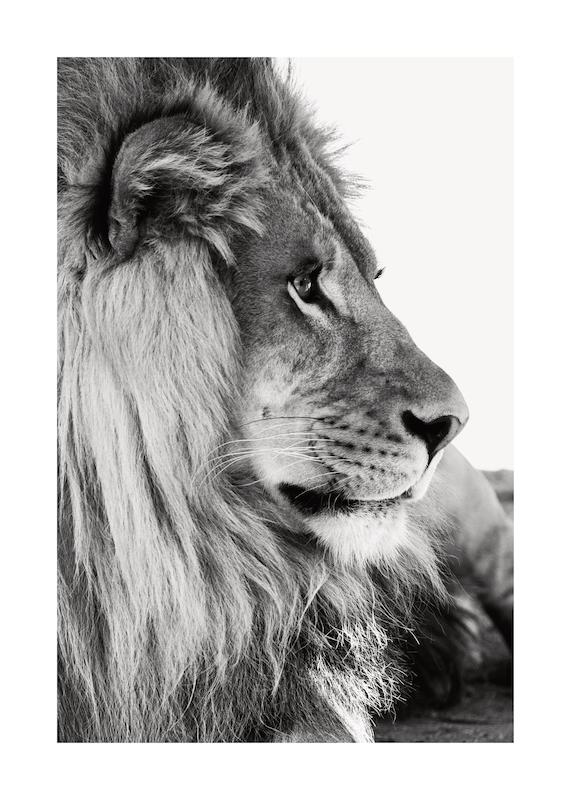 تابلو Lion Profile در دکوراسیون مدرن