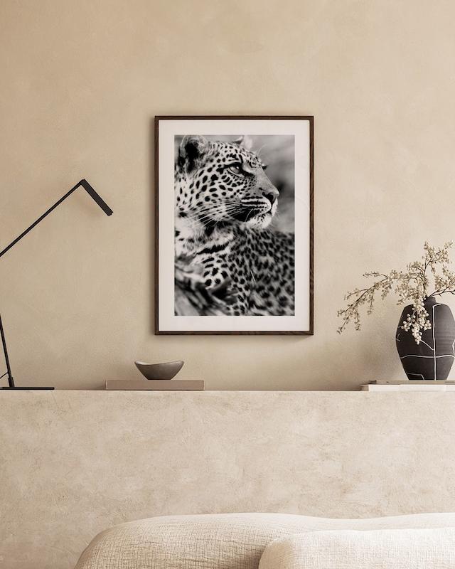 تابلو Leopard