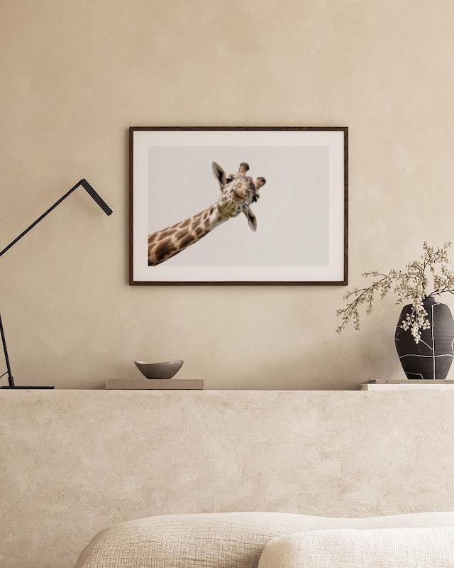 تابلو Curious Giraffe در دکوراسیون مدرن