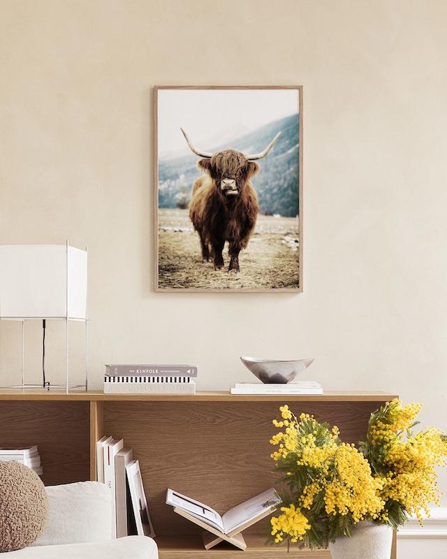 تابلو Highland Cattle on Field