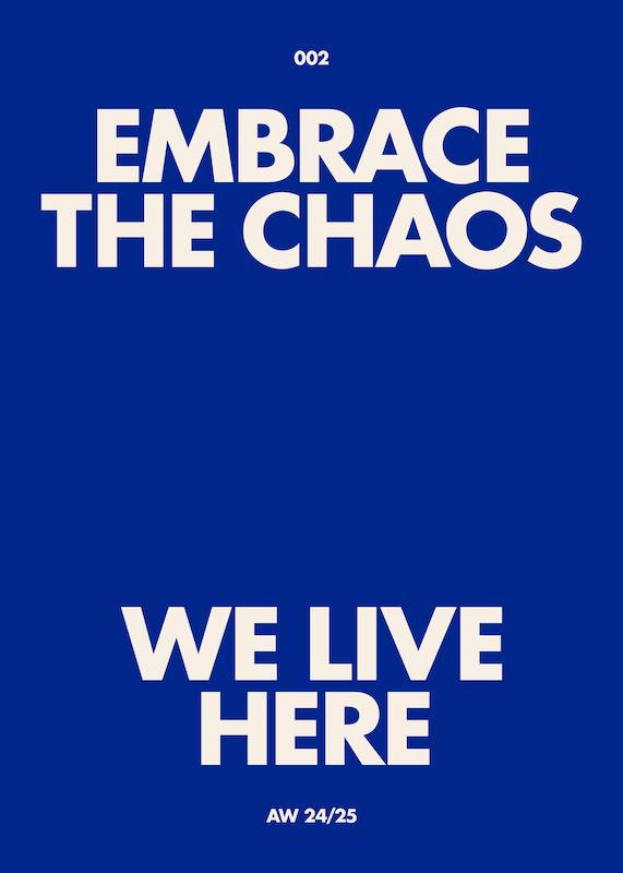 تابلو Embrace the Chaos