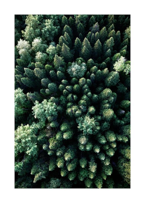 تابلو Forest Aerial در دکوراسیون مدرن