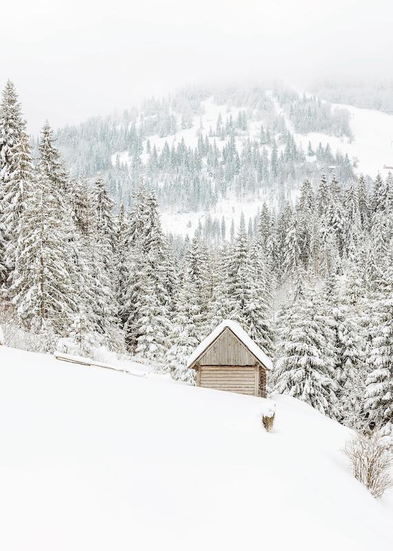تابلو Mountain Cabin در دکوراسیون مدرن