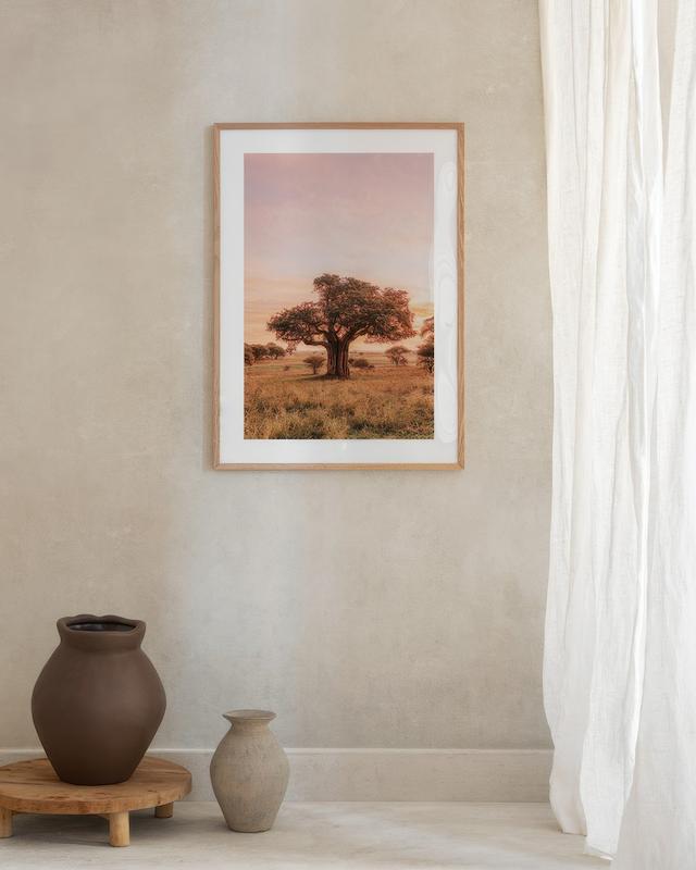 تابلو Baobab Tree in Sunrise