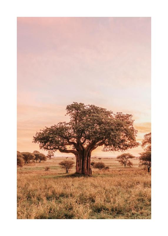 تابلو Baobab Tree in Sunrise در دکوراسیون مدرن