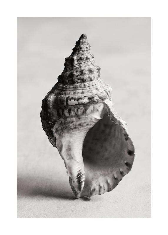 تابلو The Art of the Sea