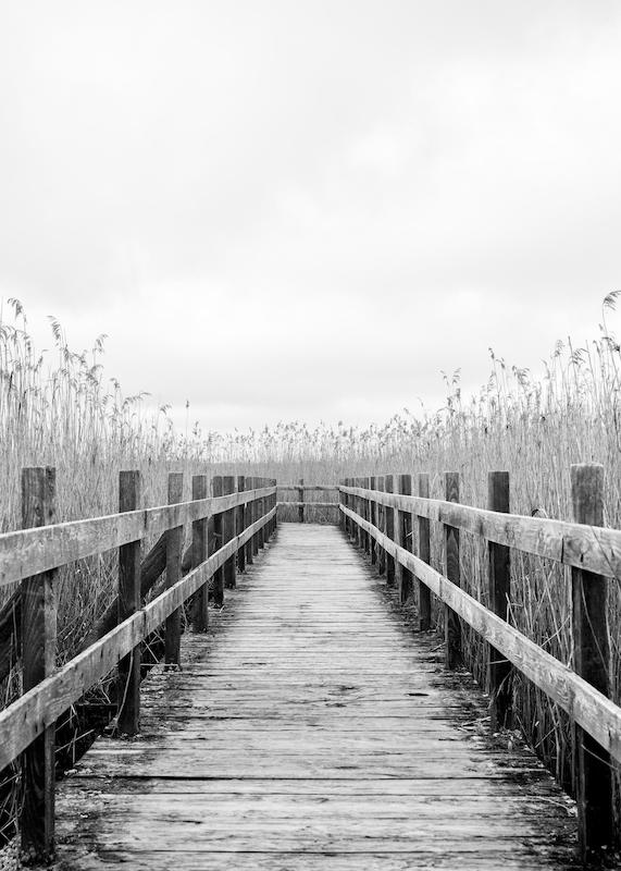 تابلو Monochrome Path در دکوراسیون مدرن