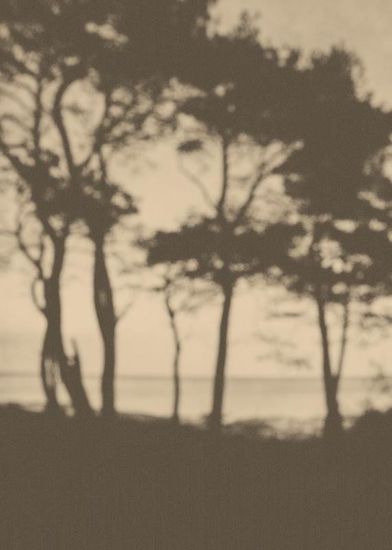تابلو Before It Fades