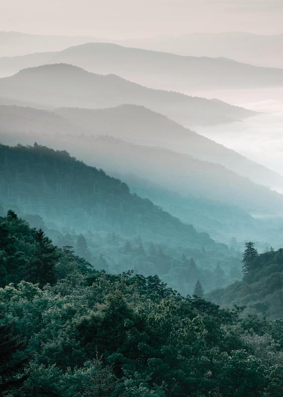 تابلو Forest Mountain در دکوراسیون مدرن