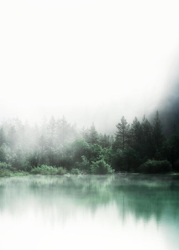 تابلو Forest Reflections در دکوراسیون مدرن