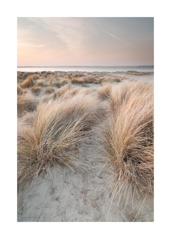 تابلو Calm Sand Dunes