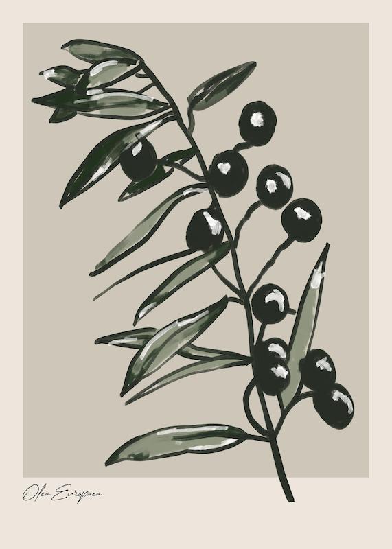 تابلو Olea Europaea