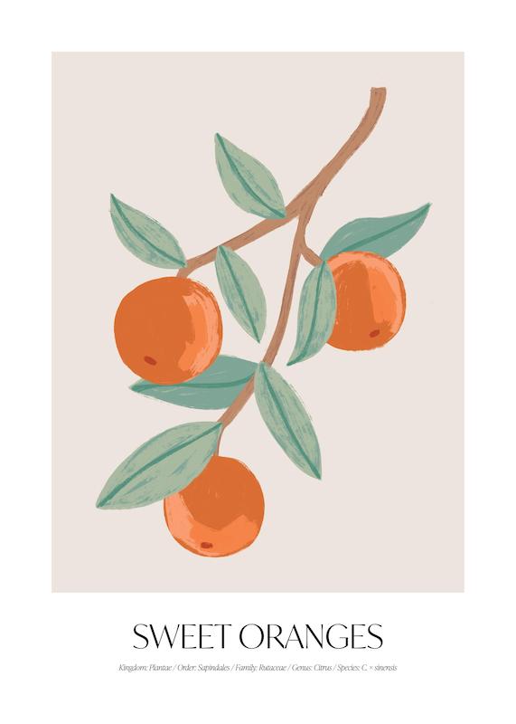 تابلو Sweet Oranges در دکوراسیون مدرن