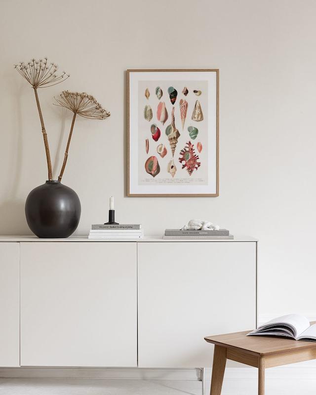 تابلو Vintage Seashells No1