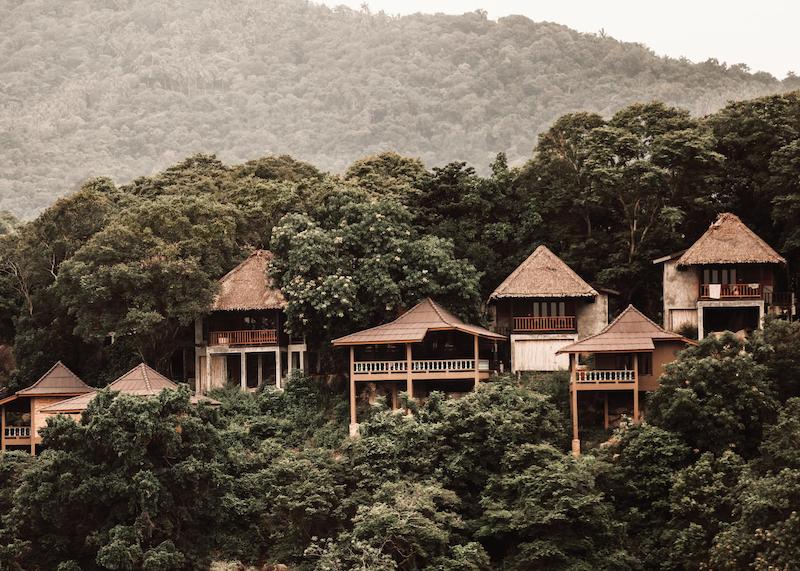 تابلو Treetop Retreat در دکوراسیون مدرن