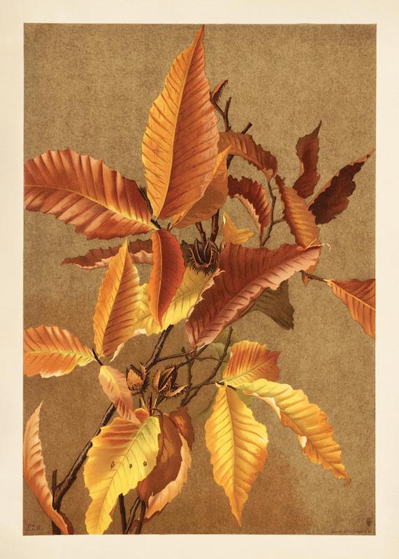 تابلو Autumn Branch در دکوراسیون مدرن