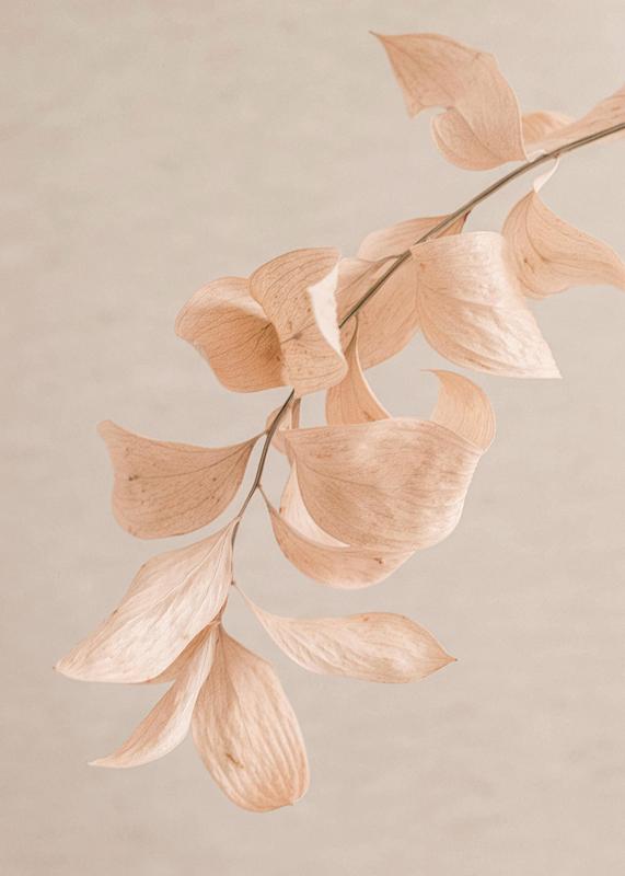 تابلو Pastel Grace در دکوراسیون مدرن