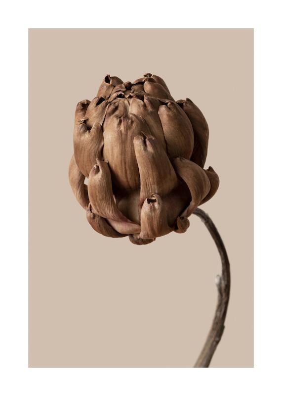 تابلو Flower in Brown در دکوراسیون مدرن