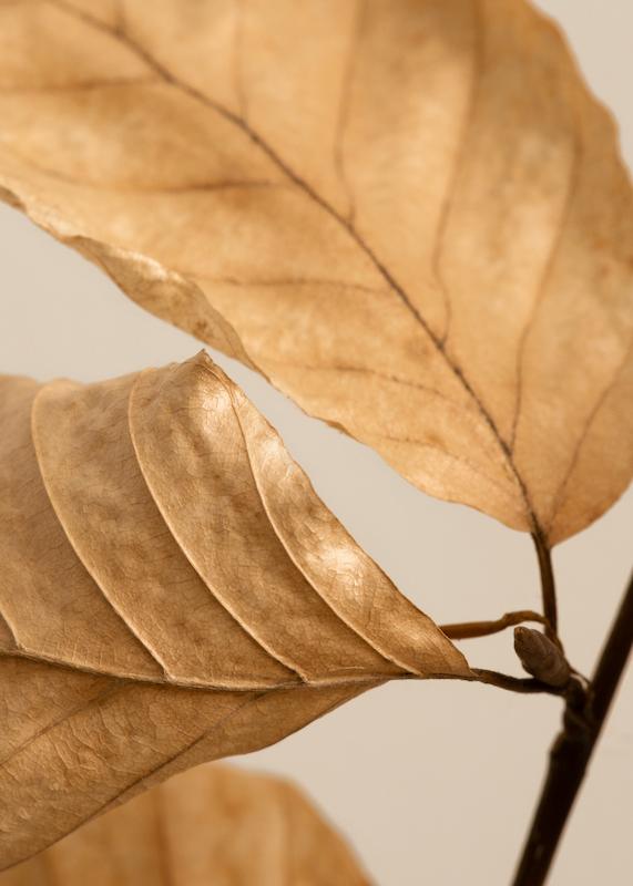 تابلو Fading Leaves