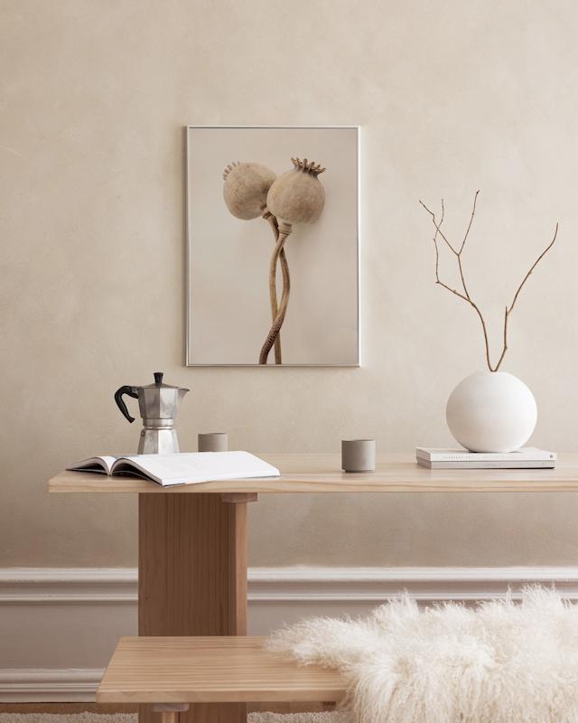 تابلو Dried Poppy Heads در دکوراسیون مدرن