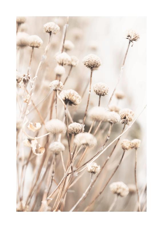 تابلو Delicate Dry Flowers در دکوراسیون مدرن