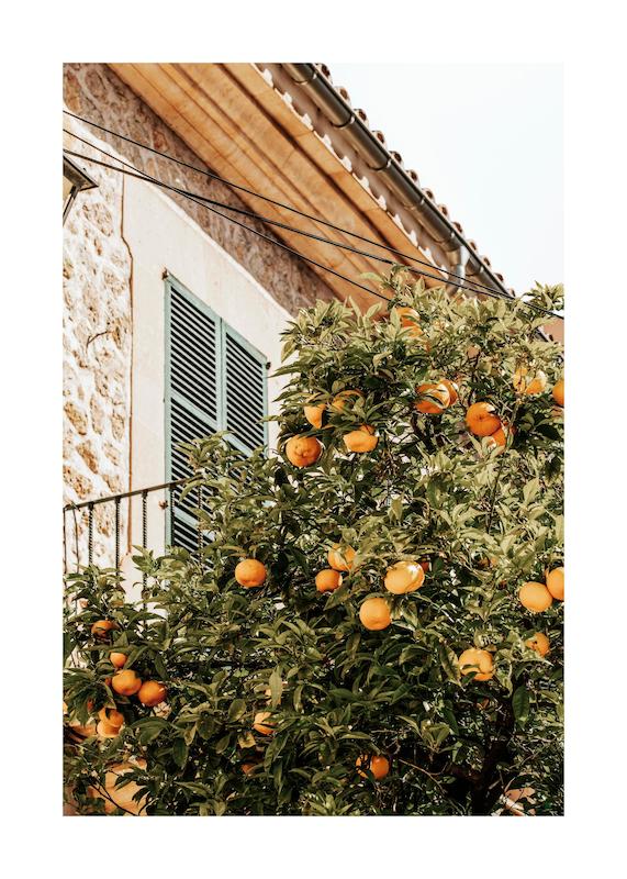 تابلو Oranges In Garden در دکوراسیون مدرن