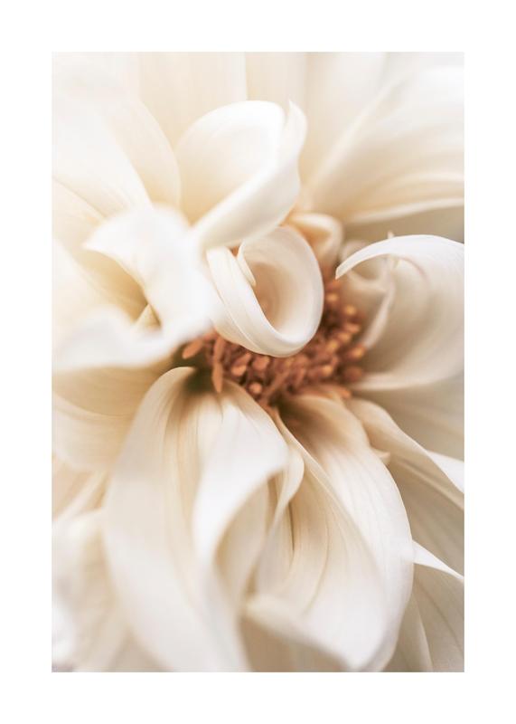 تابلو Warm Flower No1 در دکوراسیون مدرن