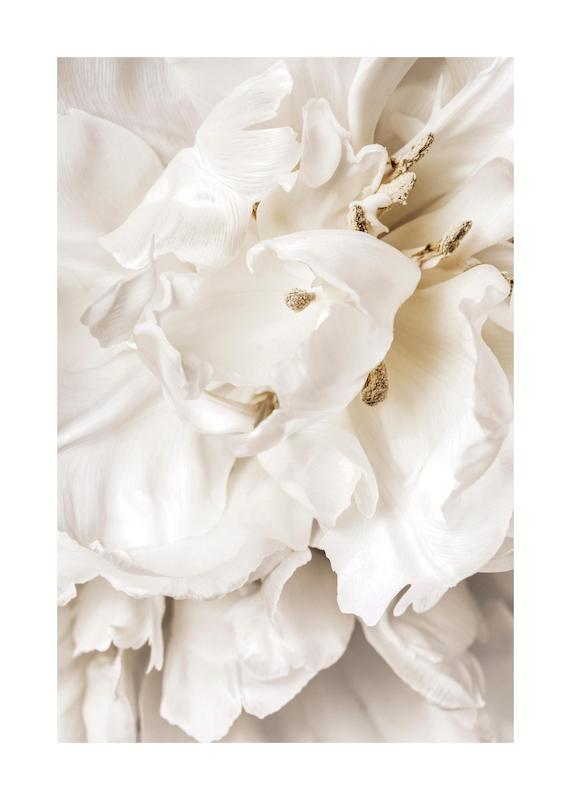 تابلو Dreamy Flower Close up در دکوراسیون مدرن