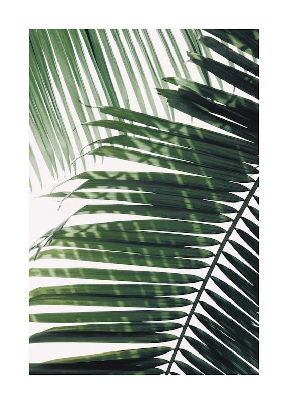 تابلو Sunray Palm