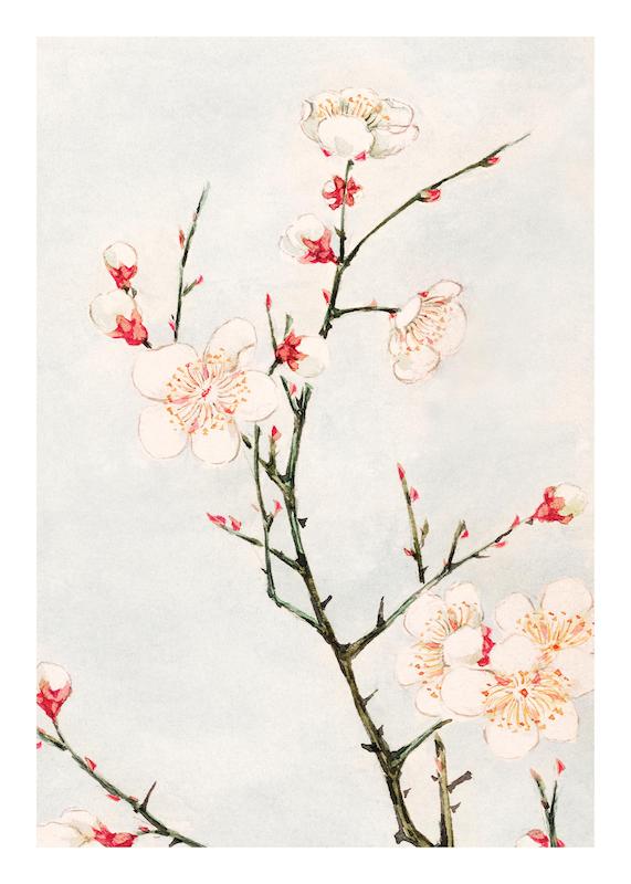 تابلو Megata Morikaga - Plum Branches with Blossoms در دکوراسیون مدرن