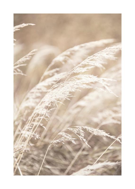 تابلو Dried Grass on Field No4 در دکوراسیون مدرن